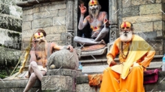 demo-attachment-34-fares-nimri-361821-unsplash