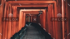 demo-attachment-58-tianshu-liu-395929-unsplash